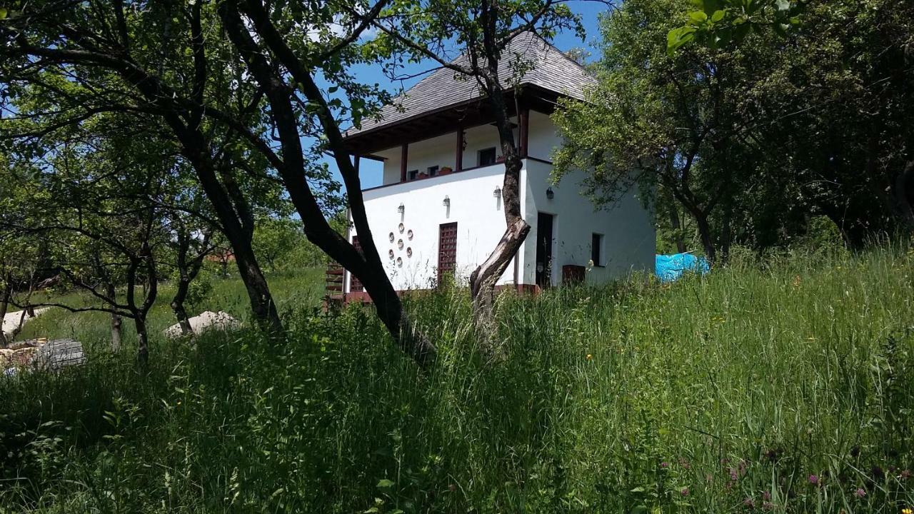 Cottage Poe Poienari Exteriér fotografie