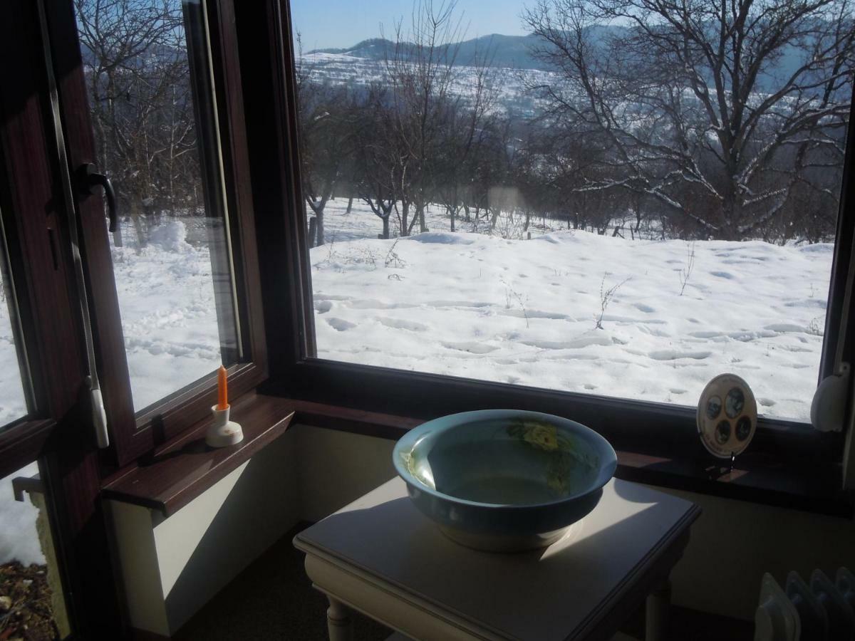 Cottage Poe Poienari Exteriér fotografie
