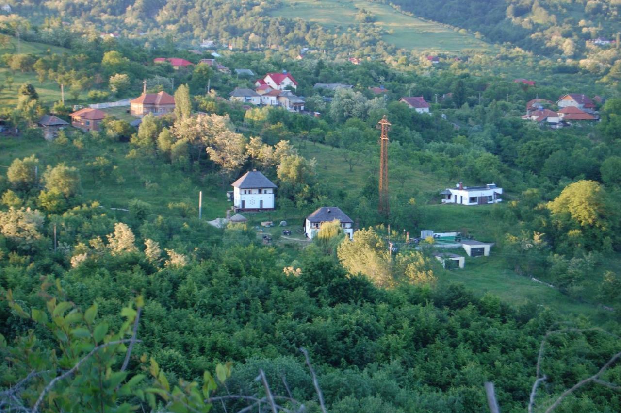 Cottage Poe Poienari Exteriér fotografie