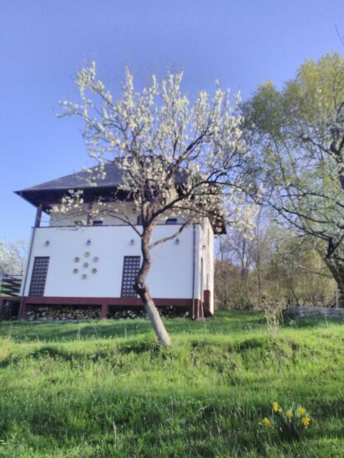 Cottage Poe Poienari Exteriér fotografie
