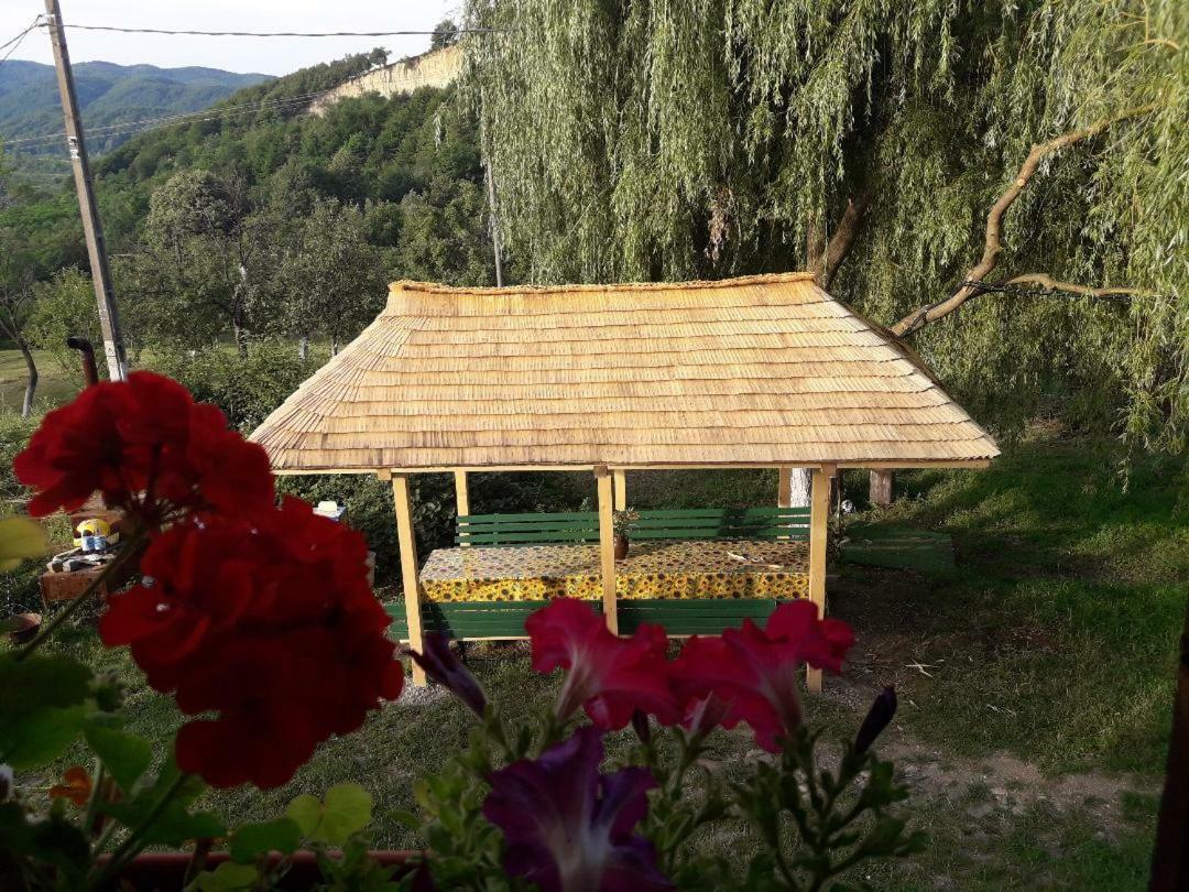 Cottage Poe Poienari Exteriér fotografie